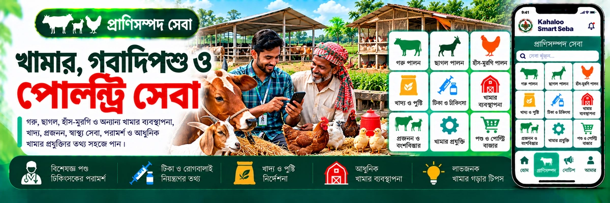 ব্যানার